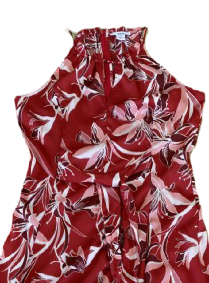 Bar III Red Print Flowy Halter Dress Size Small