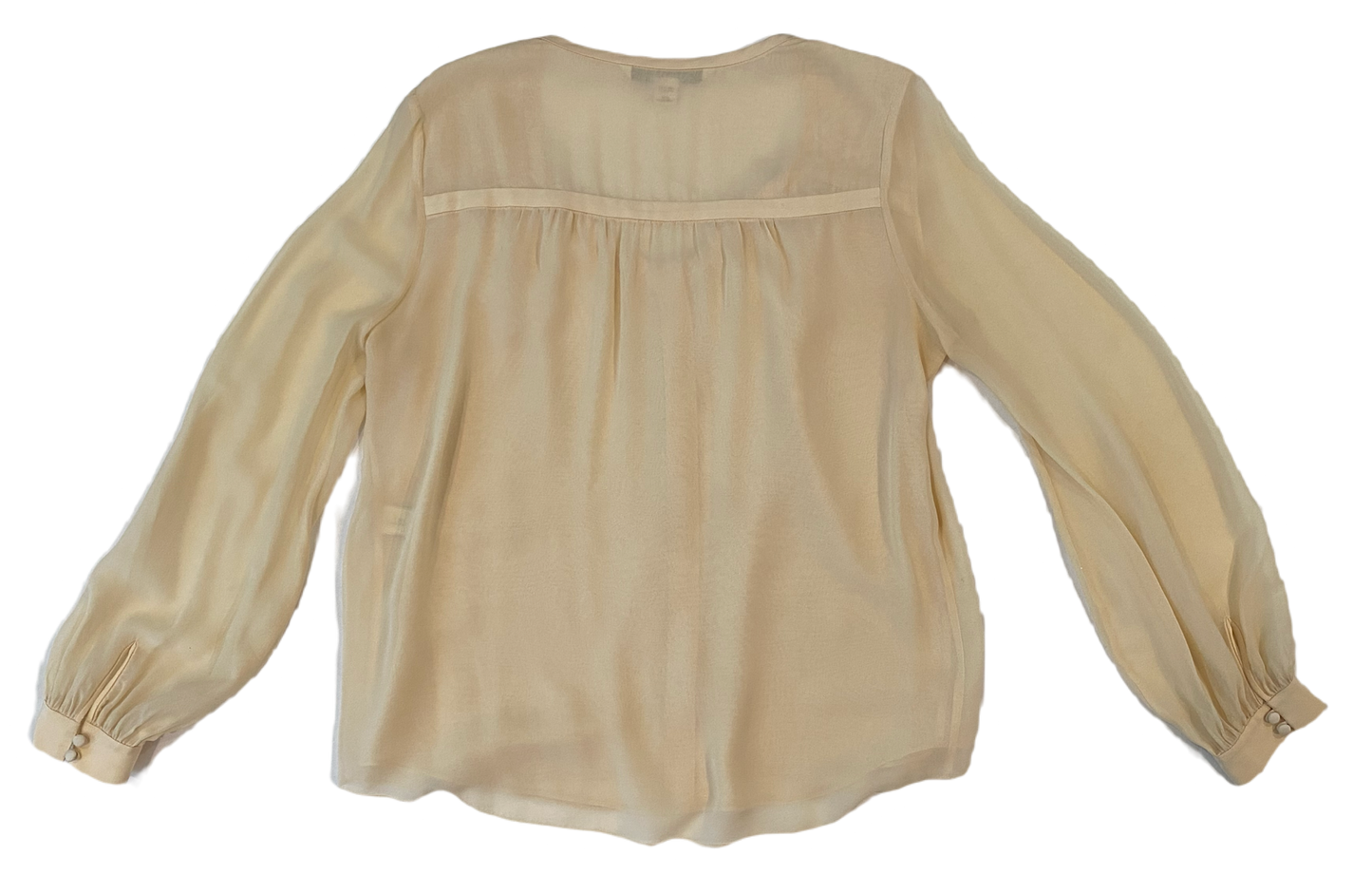 Diane Von Furstenberg Long Sleeve Silk Cream BlouseDVF sheer silk lined cream blouse with long sleeves and band detail at neck line. Hidden button front and button cuffs. 
This timeless blouse can easily be dressed u