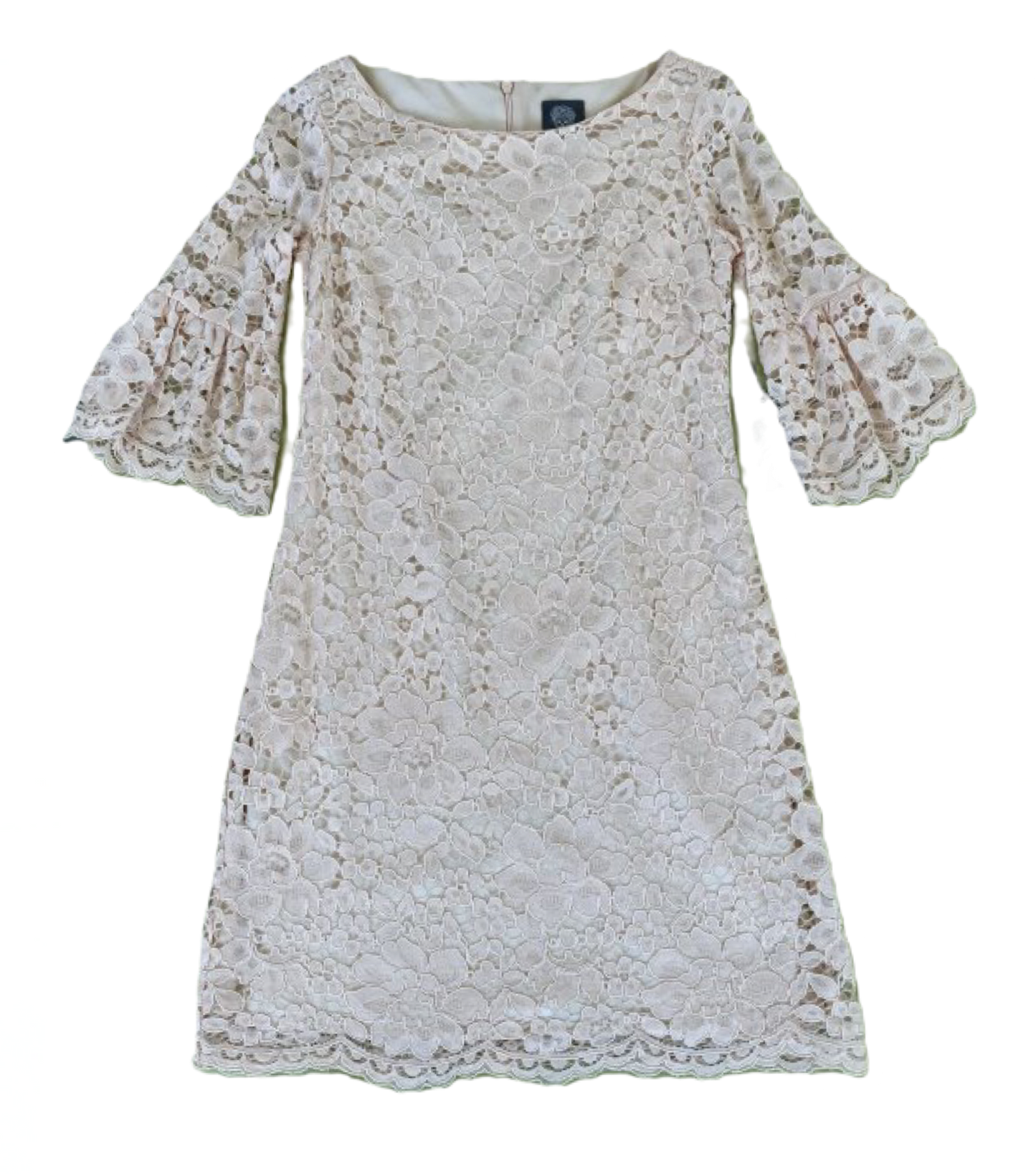 Vince Camuto Blush Lace dress with  Bell Sleeves garden weeding a symp