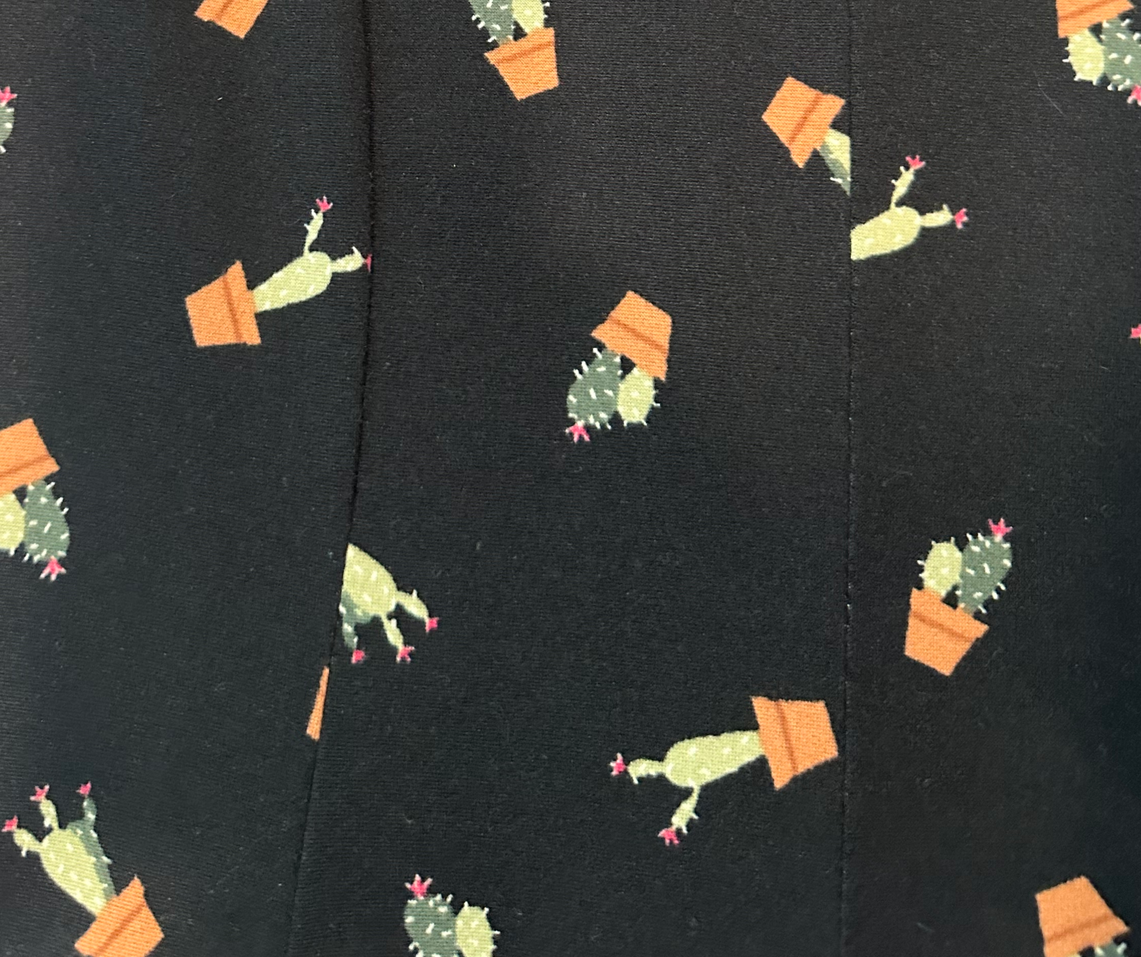 Banana Lemon Cactus Print Black Fit & Flare Dress