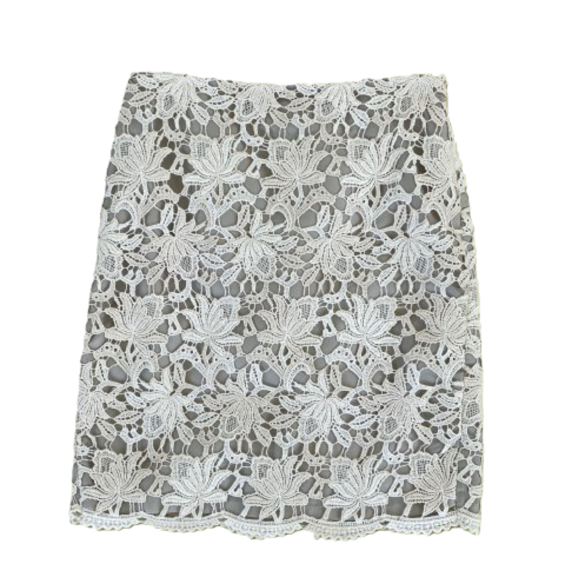 Ann Taylor Cream Lace Short Skirt straight zip back skirt a timeless e 