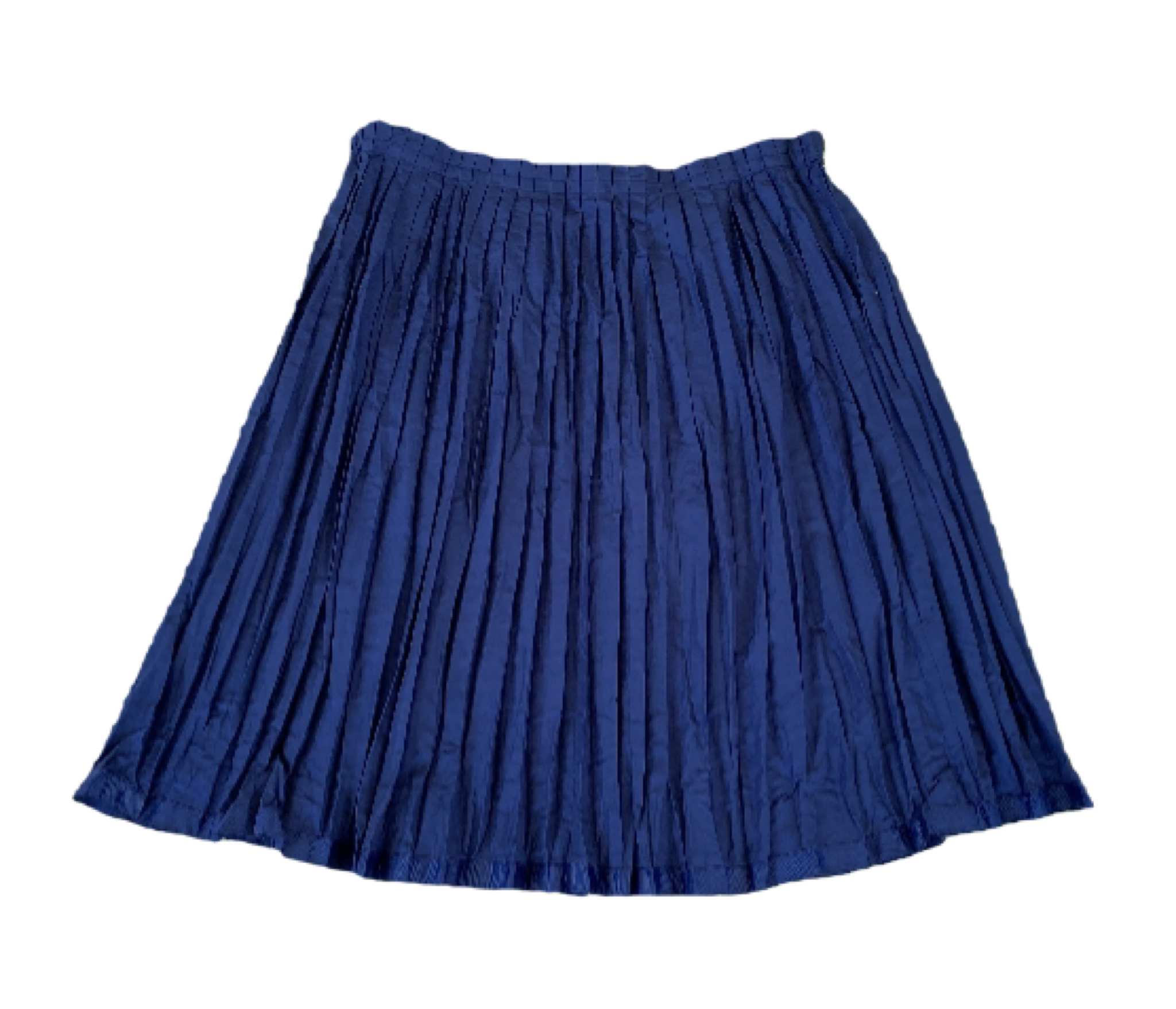 GAP Pleated Blue Skirt - NWT