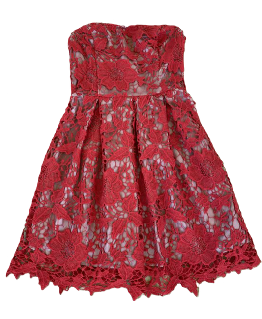 Lush Red Strapless Crochet Lace Dress - NWT still attached the vibrant